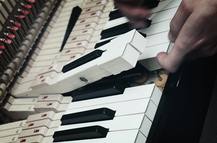 Pianos numériques - La Maison du Piano à Rouen